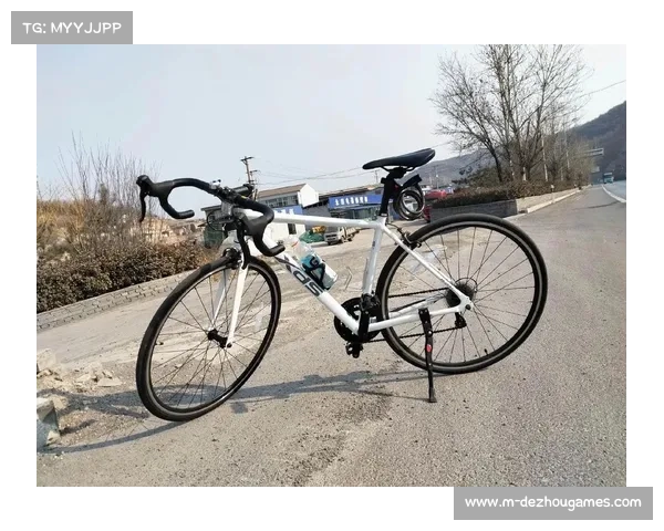 天王自行车开发百款车型，自主品牌SKYS站稳海内外